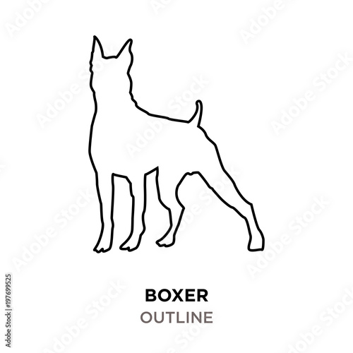 boxer outline on white background