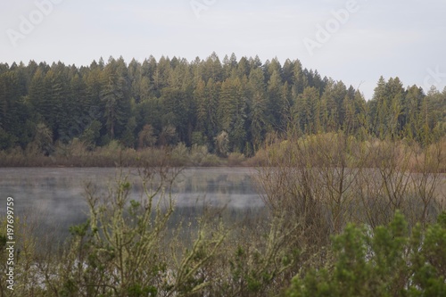 Riverfront Regional Park - Located along the Russian River, Riverfront Regional Park is just minutes from downtown Windsor and Healdsburg and surrounded by classic Wine Country scenery. Spring. 