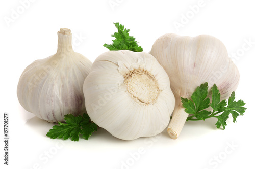 garlic with parsley leaf isolated on white background
