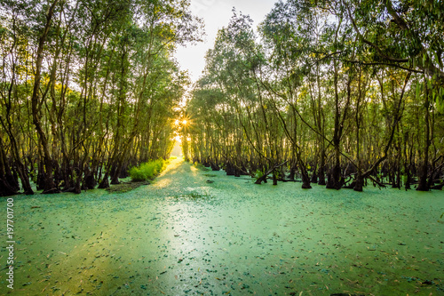 Vietnam photo