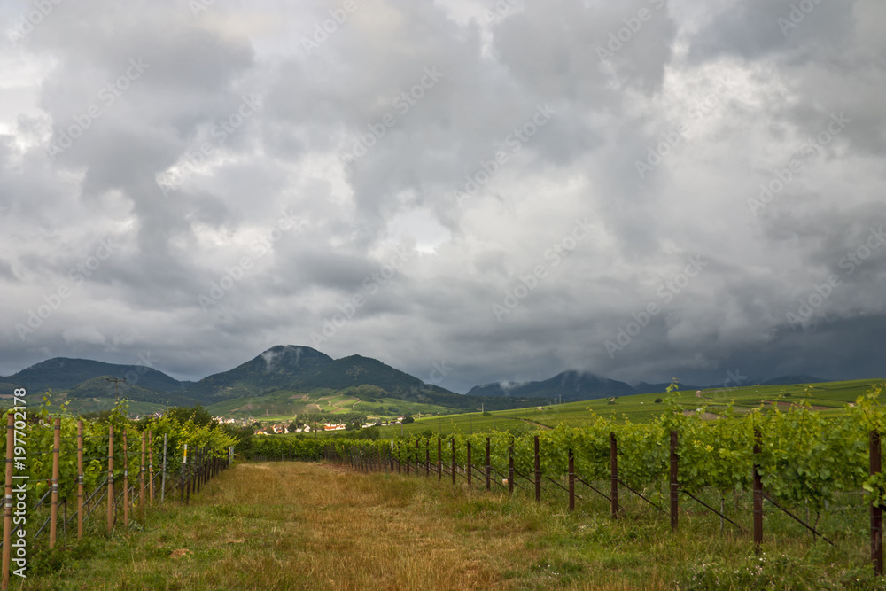 Regenwolken über der Südpfalz