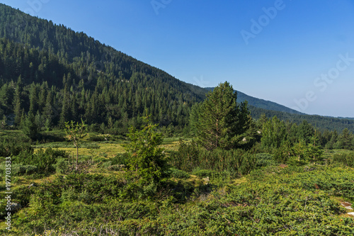 Landscape of Begovitsa River Valley, Pirin Mountain, Bulgaria