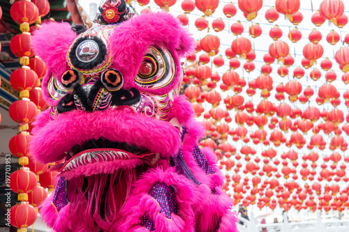 Lion dance performance