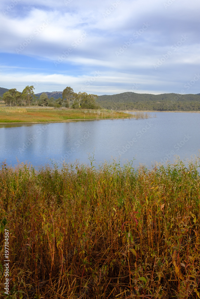 Lake, Trees and Grass at Sunset. Googong Dam, NSW