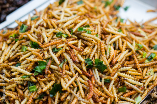 Fried insects.Thai food at the street food market. Available on the market