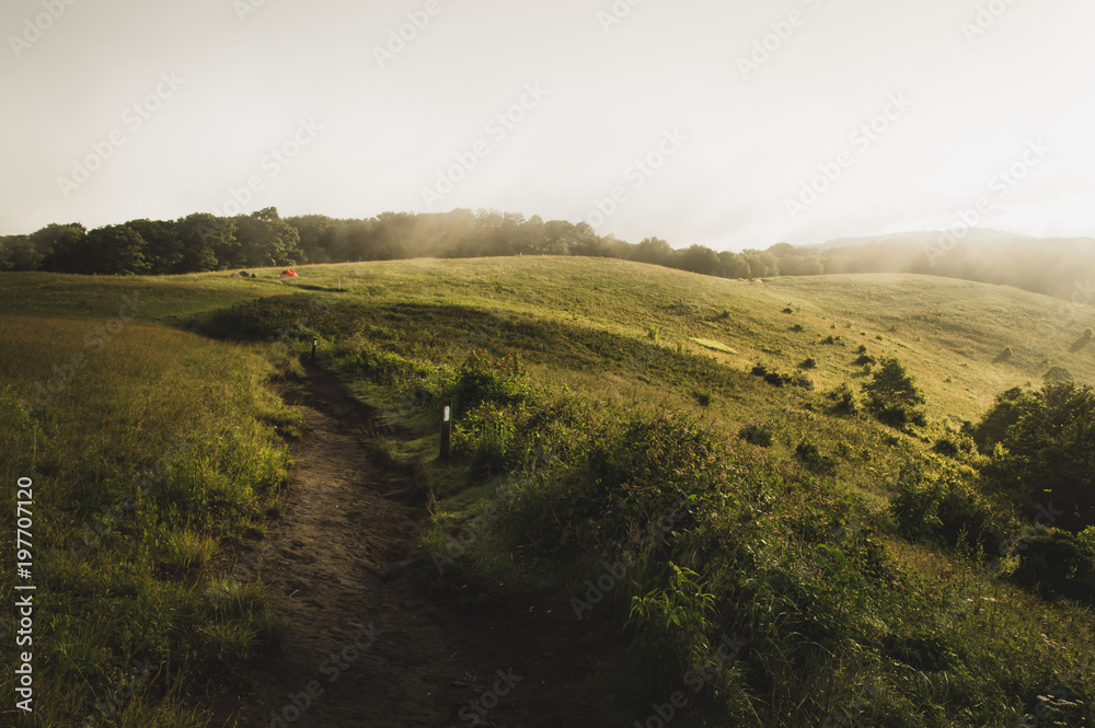 Obraz premium Morning Light