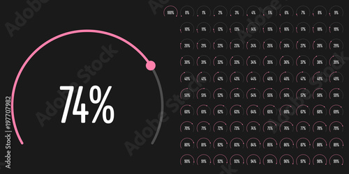Set of circular sector percentage diagrams from 0 to 100 ready-to-use for web design, user interface (UI) or infographic - indicator with pink