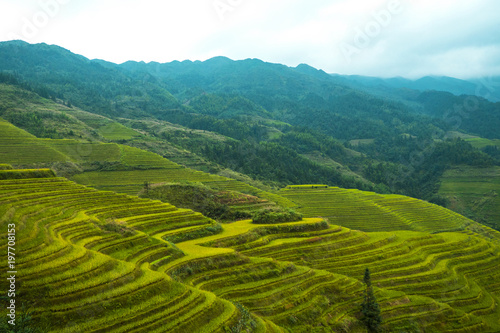 Dazai Rice Field  LongJi region  China