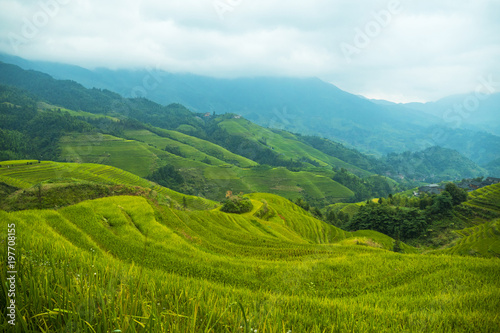 Rice Terraces in Dazai  LongJi region  China