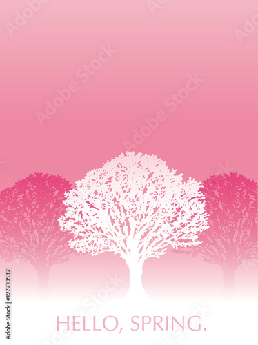 満開の桜の木の背景 © CallMeTak