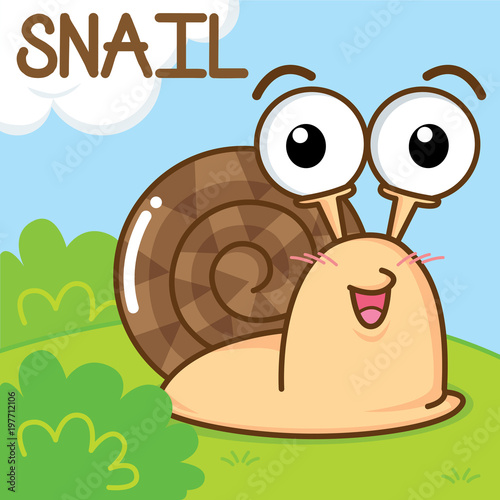 A cute snail in the garden.