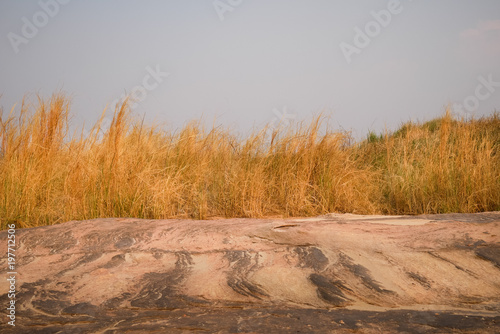 Melancholic landscape with golden grass and sand and nobody