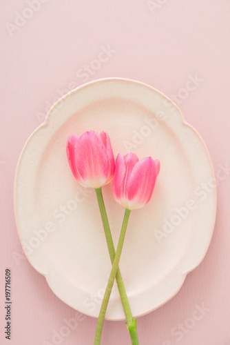 Fototapeta Naklejka Na Ścianę i Meble -  チューリップ