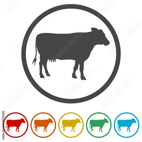 Cow silhouette icon, 6 Colors Included