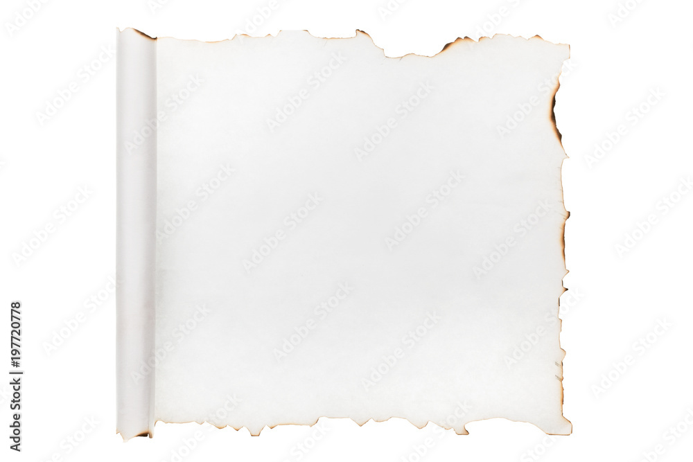 Rolled-up piece of paper with the scorched edges. Isolated Rolled-up piece of paper with the scorched edges. Isolated