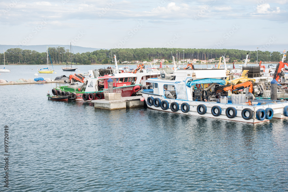 Mussel aquaculture boats anchored in the port of O Grove