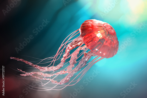Fototapeta 3d rendering różowi jellyfish unosi się w zmroku - błękitny oceanu tło z światłem słonecznym.