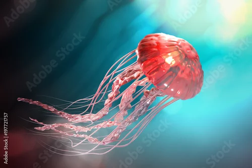 Obraz 3d rendering różowi jellyfish unosi się w zmroku - błękitny oceanu tło z światłem słonecznym.