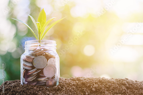 Plant growing from coins in...
