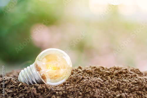 Glowing light bulb on soil against blurred natural green background