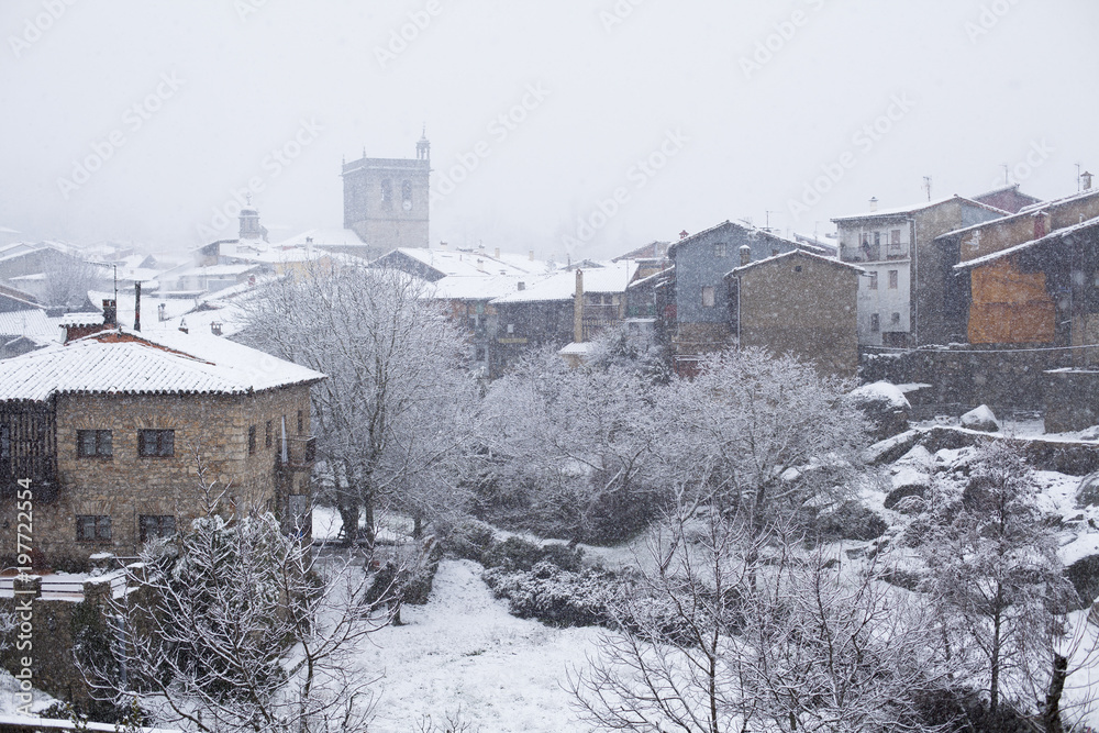 Obraz premium Nevada