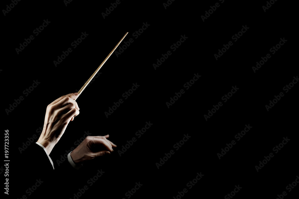 Obraz premium Prowadzenie muzyki dyrygenta orkiestry. Ręce dyrygenta z batutą