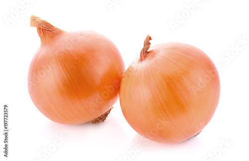 Onions isolated on white background.