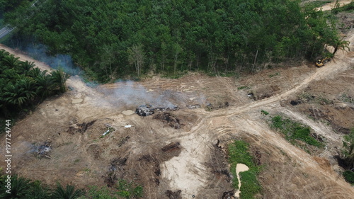 Fotografie Deforestation - environmental destruction