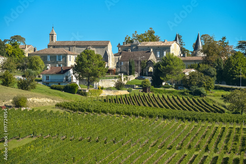 Saint-Emilion-Vineyard landscape-Vineyard south west of France photo