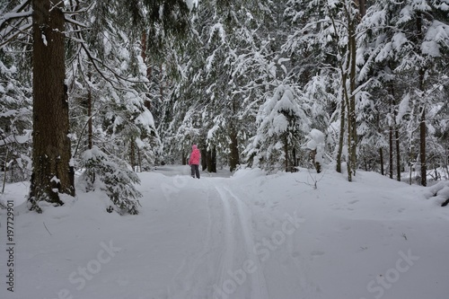 ski track in the forest with a skier in the background