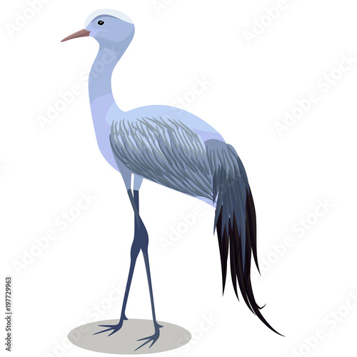 Blue crane vector cartoon