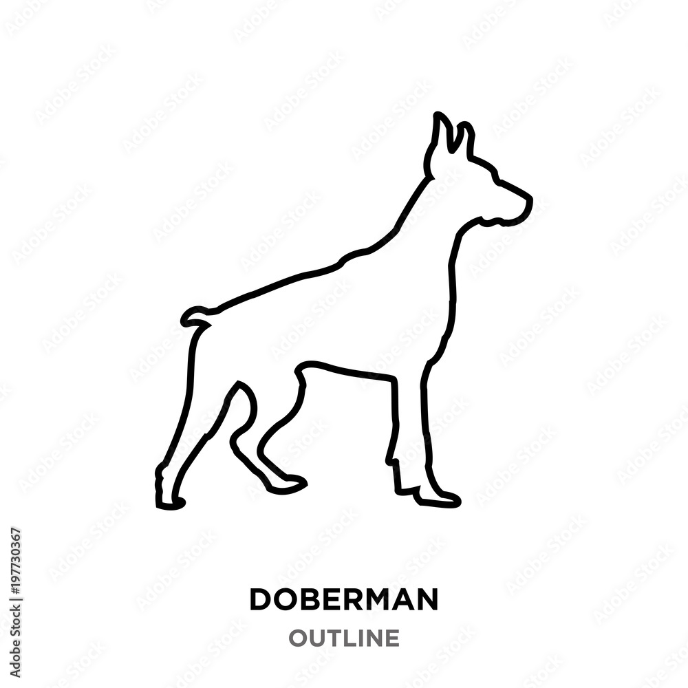 doberman outline on white background,from profile