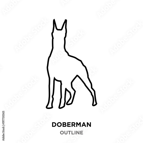 doberman outline on white background