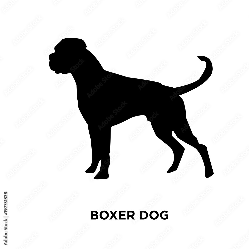 boxer dog silhouette on white background, vector illustration