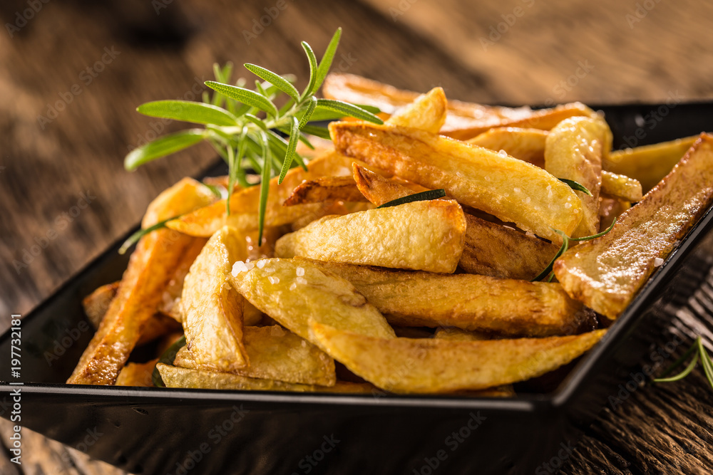 Potato Fries. Homemade potato fries with salt and rosemary Potato Fries. Homemade potato fries with salt and rosemary