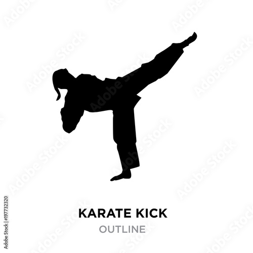 karate kick silhouette on white background, vector illustration