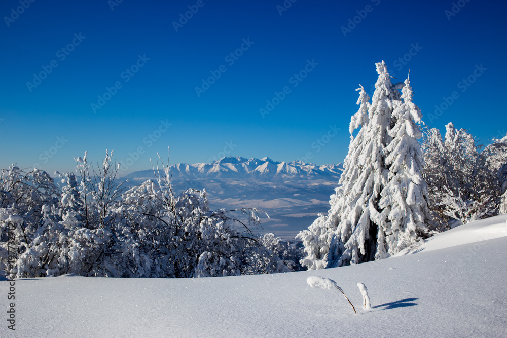 Zimowy widok na tatry  - obrazy, fototapety, plakaty 