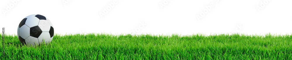 Naklejka Piłki nożnej piłka na trawy panoramie odizolowywał białego tła 3d rendering