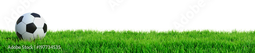 Fu  ball auf Rasen Panorama isoliert wei  er Hintergrund 3D Rendering