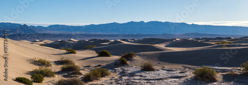 Early morning at Mesquite Flat Sand dunes  Death Valley