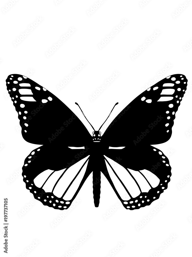 butterfly cartoon illustration black white Stock Illustration | Adobe Stock