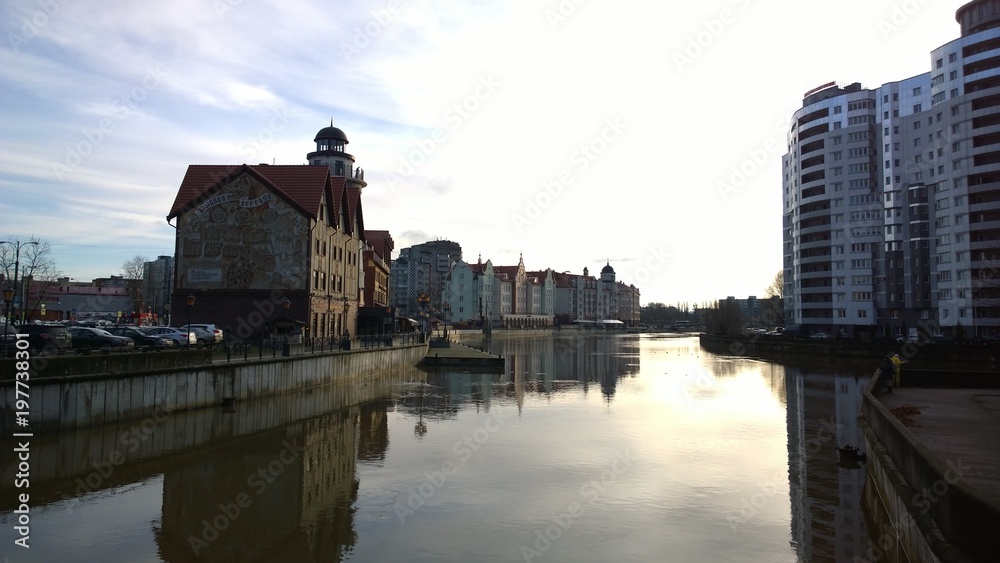 Obraz premium Contrast