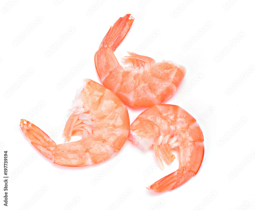 Shrimp on a white background