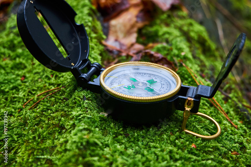 Compass navigation device lying on the moss