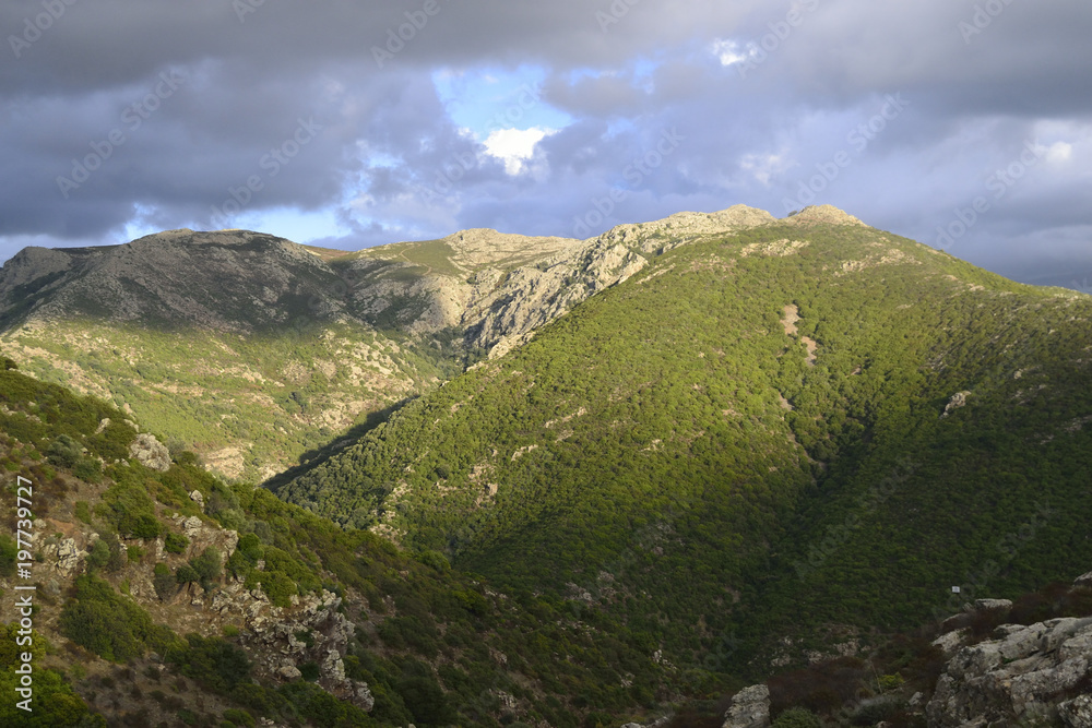 Panorama di Monte Tratzalis, Sinnai