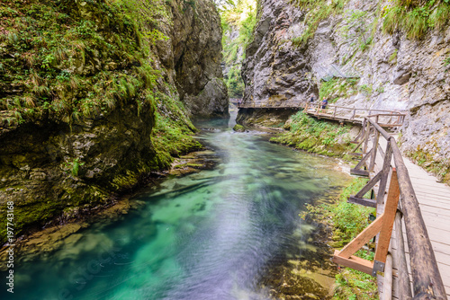 The famous Vintgar gorge Canyon with wooden pats in the natural Park Triglav, Slovenia. Vintgar gorge Canyon is one of Slovenia's major tourist attractions.