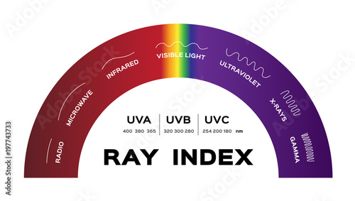 ray index infographic vector . radio microwave infrared visible light ultraviolet x-rays and gamma