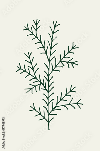 Fototapeta Naklejka Na Ścianę i Meble -  Branch of plant hand drawn outline doodle vector icon