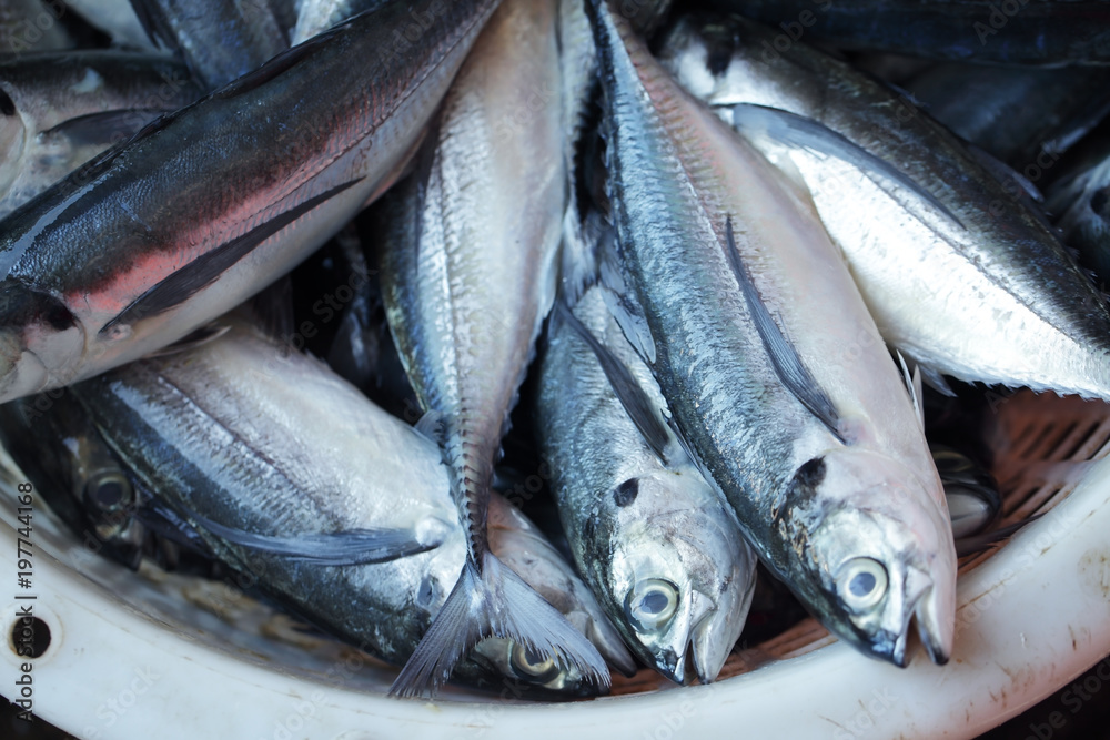 Obraz premium close up of fresh fish in asian grocery market