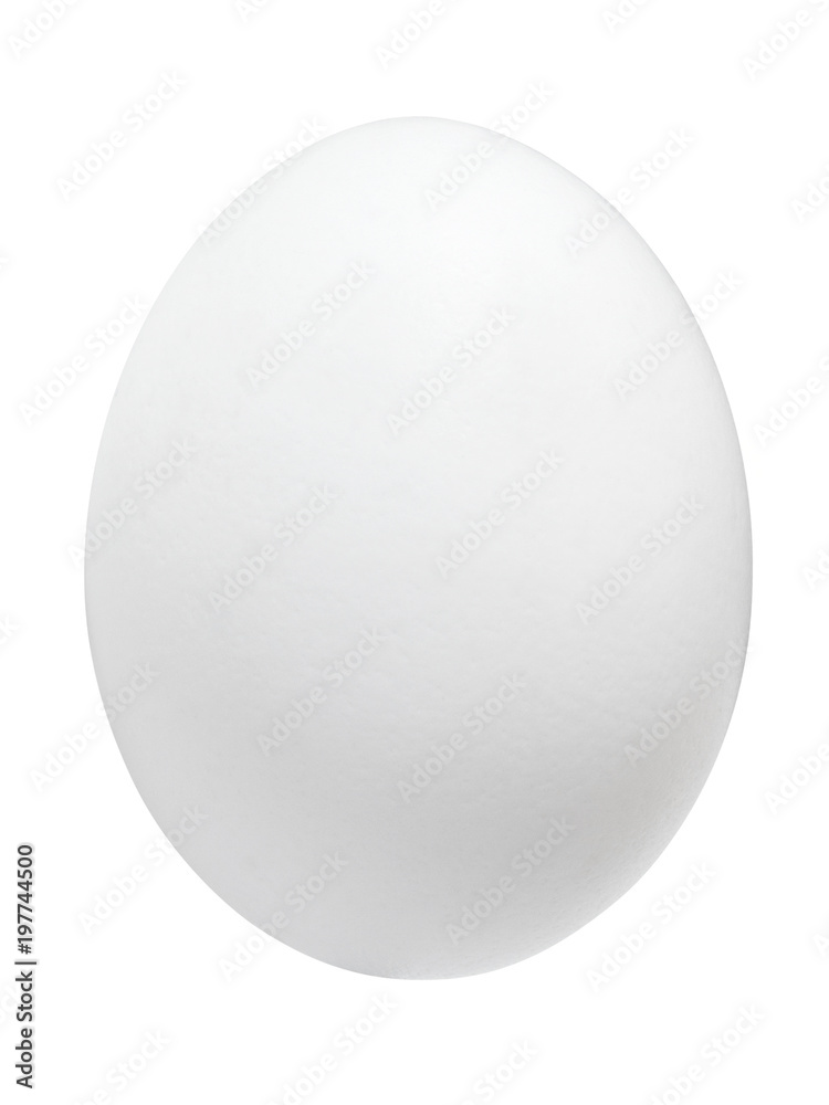 white egg on white background. isolated. white egg on white background. isolated.